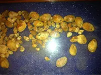 image-4119217340.webp