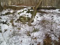 101_4706.webp
