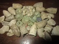IMG_3825.webp IMG_3825.webp
