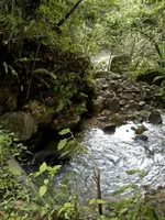 DSCN2172.webp