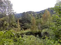 DSCN2182.webp DSCN2182.webp