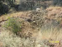 100_1474.webp
