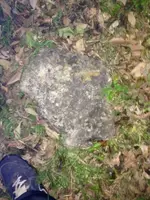 image-1304901155.webp