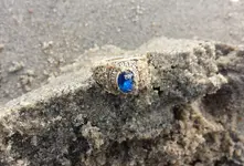 20140202_091800 ring.webp