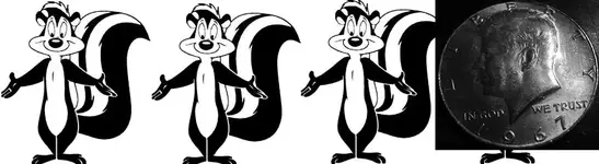 3skunks.webp