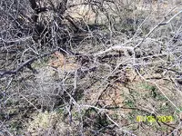 100_2598.webp