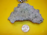 DSC00117.webp