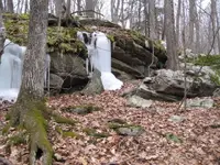 den 055.webp
