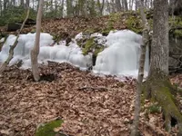 den 054.webp