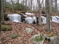 den 053.webp