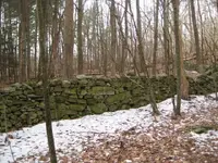 den 037.webp