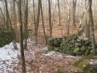 den 036.webp