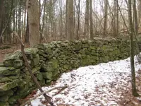 den 031.webp