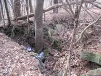 den 025.webp
