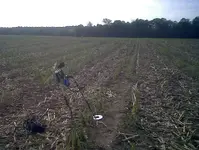 IMG00339-20110813-0859.webp
