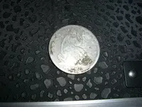 CIMG1379.webp
