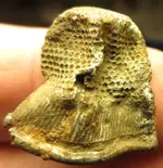 8 Site DW 1221131 6 Thimble.webp