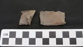 093B Copper Fragments.webp