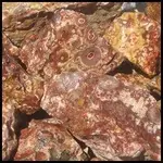birdseye_rhyolite_1_large.webp