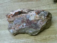 IMAG0078.webp