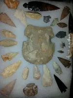 image-3334483982.webp
