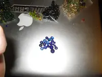 IMGP1279.webp