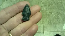 DSCF0007.webp