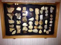 image-704990290.webp
