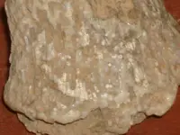 DSC09998.webp