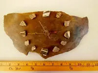 DSCN4249.webp