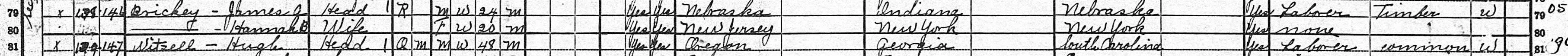 1920UnitedStatesFederalCensusForJamesABrickey s.webp