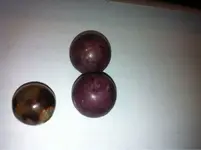 image-1455290393.webp