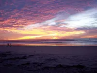 100_1195.webp