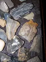 100_2846.webp