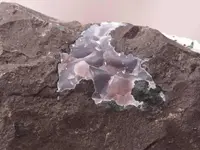 Crystally (4).webp