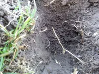 20131222_101904.webp