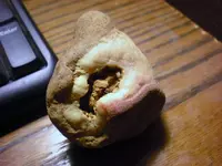 chert nodule 001.webp