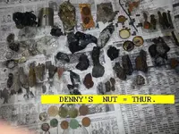 102DENNYNUT.webp