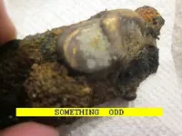 102ODD.webp
