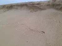 KIMG0149.webp