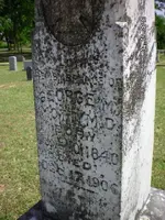 44152835_127152448368.webp