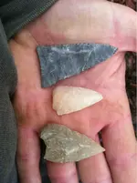 image-1676004111.webp