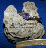 27 Jan 2014 14K ring with ice.webp