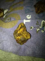 image-307965108.webp