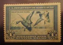 duck stamp.webp