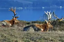 DSC_1037smsz.webp