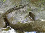 260544_113681698724064_4248660_a.webp