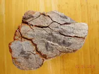 DSCN5455.webp