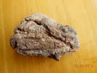 DSCN5456.webp