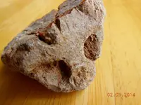 DSCN5457.webp